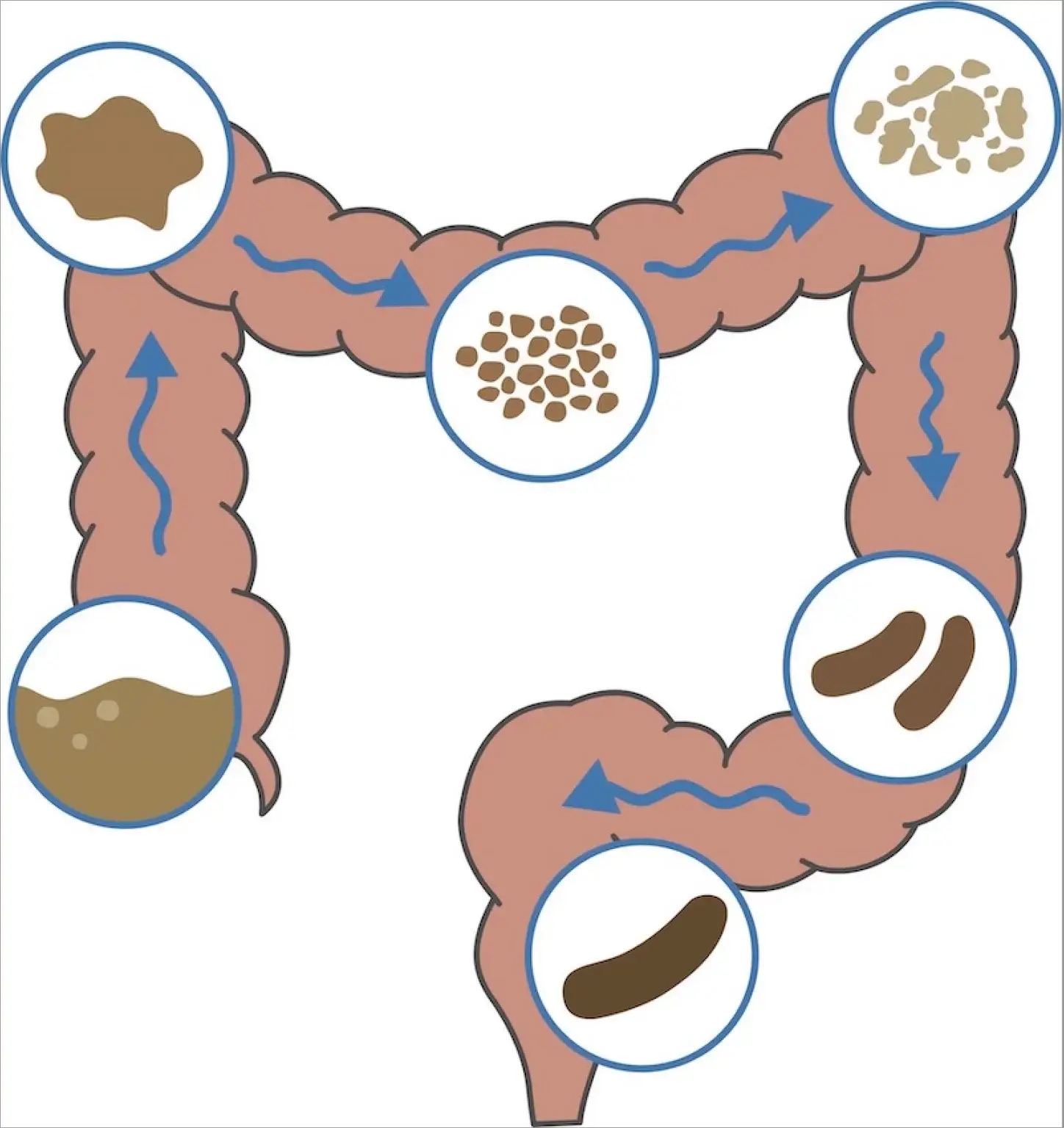 Tanier s čerstvou zeleninou, ovocím, celozrnným pečivom a pohárom vody, znázorňujúci dôležitosť vlákniny a hydratácie pri očiste čriev.