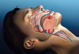 Ilustračný obrázok ľudskej hlavy v poloprofile s detailom anatomického priebehu horných dýchacích ciest, pažeráka a ústnej dutiny – vizuálny symbol funkcií a stavby úst.
