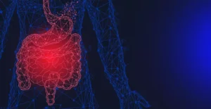 Schéma tráviaceho traktu so zvýrazneným žalúdkom a črevami, symbolizujúcimi tráviace ťažkosti ako nadúvanie, pálenie záhy, zápcha a poruchy trávenia.