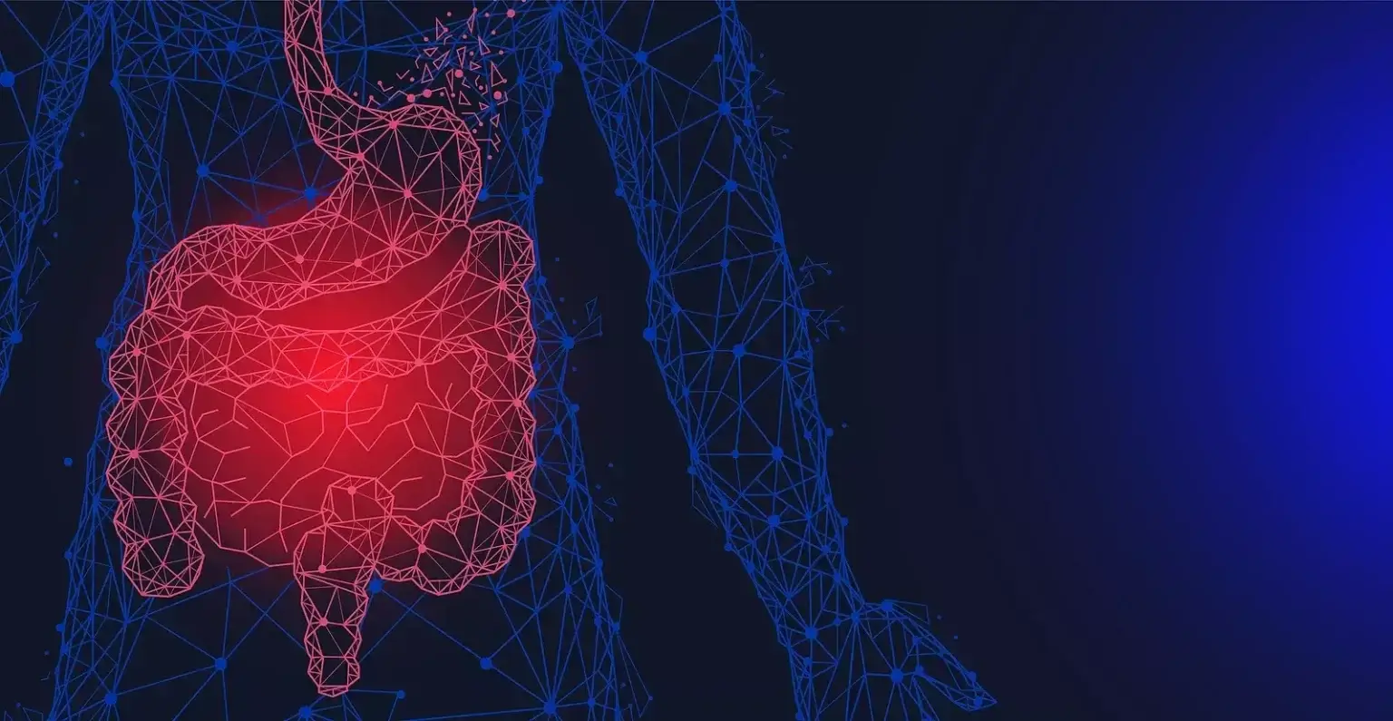 Schéma tráviaceho traktu so zvýrazneným žalúdkom a črevami, symbolizujúcimi tráviace ťažkosti ako nadúvanie, pálenie záhy, zápcha a poruchy trávenia.