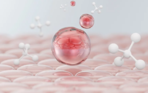 3D vizualizácia astaxantínu – silného antioxidantu na bunkovej úrovni s ochranným účinkom na kožné bunky.