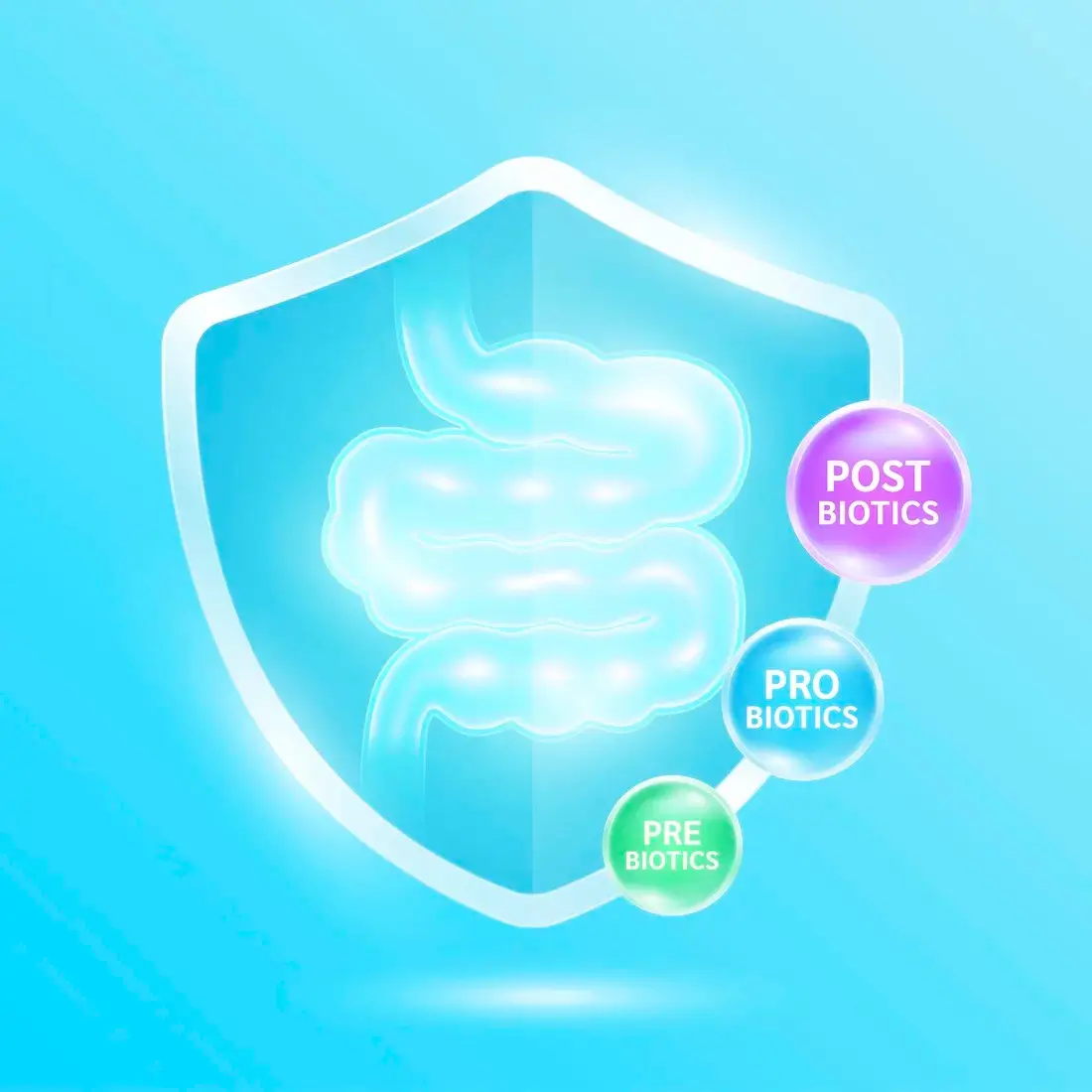 Ilustrácia zdravého tráviaceho systému chráneného štítom, s vizuálnym zobrazením pojmov prebiotiká, probiotiká a postbiotiká – moderný koncept podpory črevnej mikroflóry.