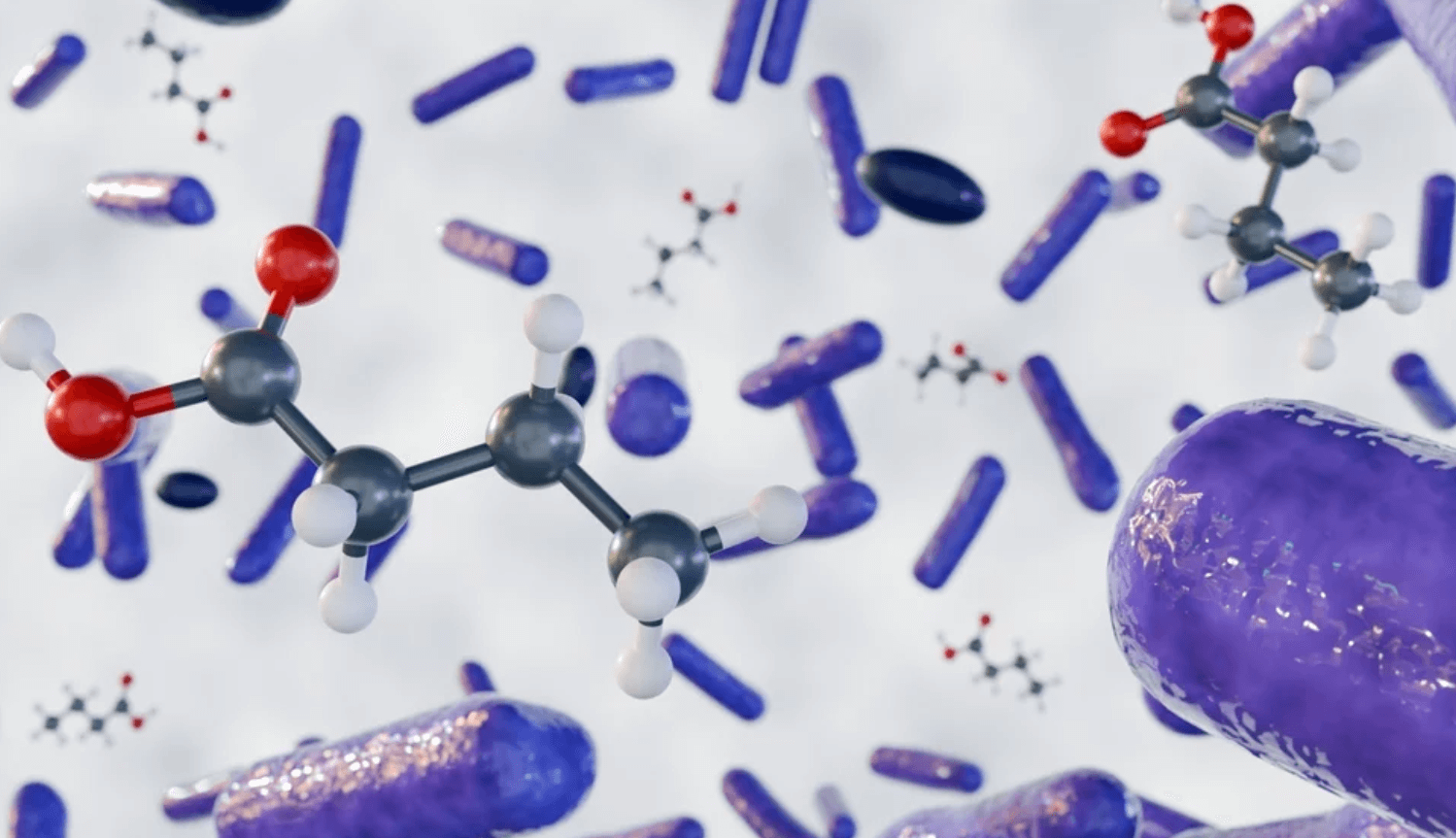 Molekulové modely mastných kyselín s krátkym reťazcom medzi fialovými baktériami – vizualizácia vzťahu medzi SCFA a črevnou mikroflórou.