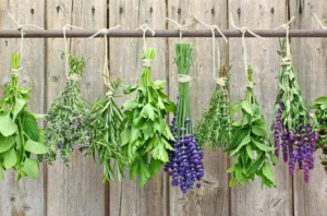Zväzky čerstvých byliniek (napr. žihľava, levanduľa, rozmarín, šalvia) sušené zavesené na povraze pred dreveným plotom – prírodné riešenia pre detoxikáciu tela bylinkami.