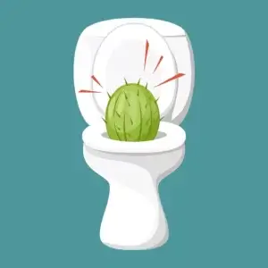 Toaleta so zeleným kaktusom v mise – metaforický obrázok symbolizujúci bolesť a diskomfort pri hemoroidoch.