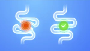 Schéma ľudského črevného traktu s vyznačením problematického miesta (červený kruh) versus zdravého čreva (zelená fajka) – vizuálne znázornenie rozdielu medzi poruchou a zdravím čriev.