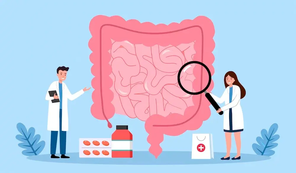 Ilustrácia ľudského čreva v popredí, dvaja lekári skúmajú tráviaci trakt lupou a zdravotníckymi pomôckami – podpora zdravia črevného systému a mikrobiomu.