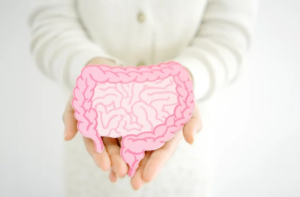 Model čreva v rukách – symbolizuje syndróm presakujúceho čreva, jeho príznaky a dôraz na ochranu zdravia tráviaceho systému.