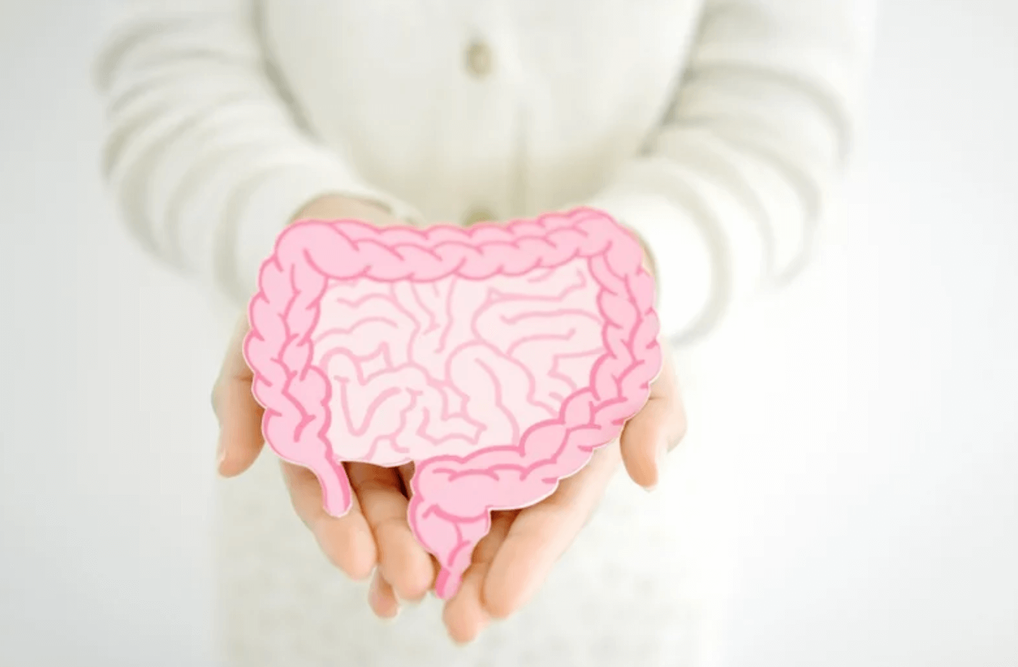 Model čreva v rukách – symbolizuje syndróm presakujúceho čreva, jeho príznaky a dôraz na ochranu zdravia tráviaceho systému.