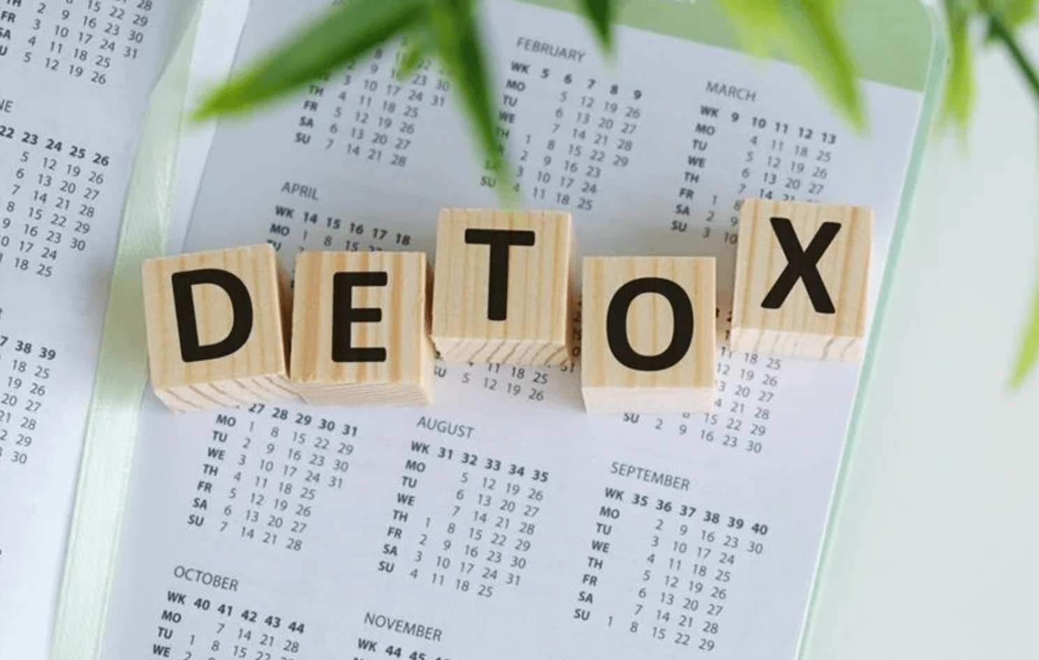 Kocky s písmenami tvoriacimi slovo „DETOX“ na kalendári – symbolizujú proces očisty organizmu a plánovanie zdravého životného štýlu.